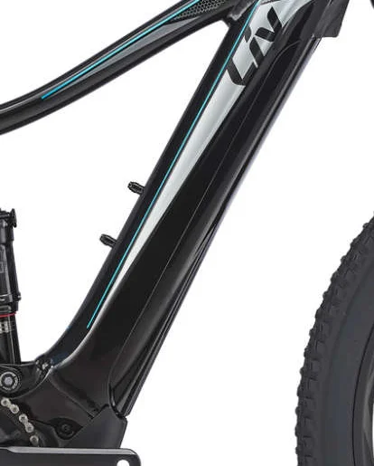 ebike2420261010151031123268