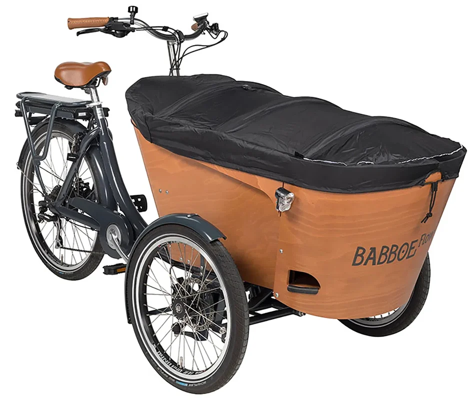 ebike2420261010151552125399