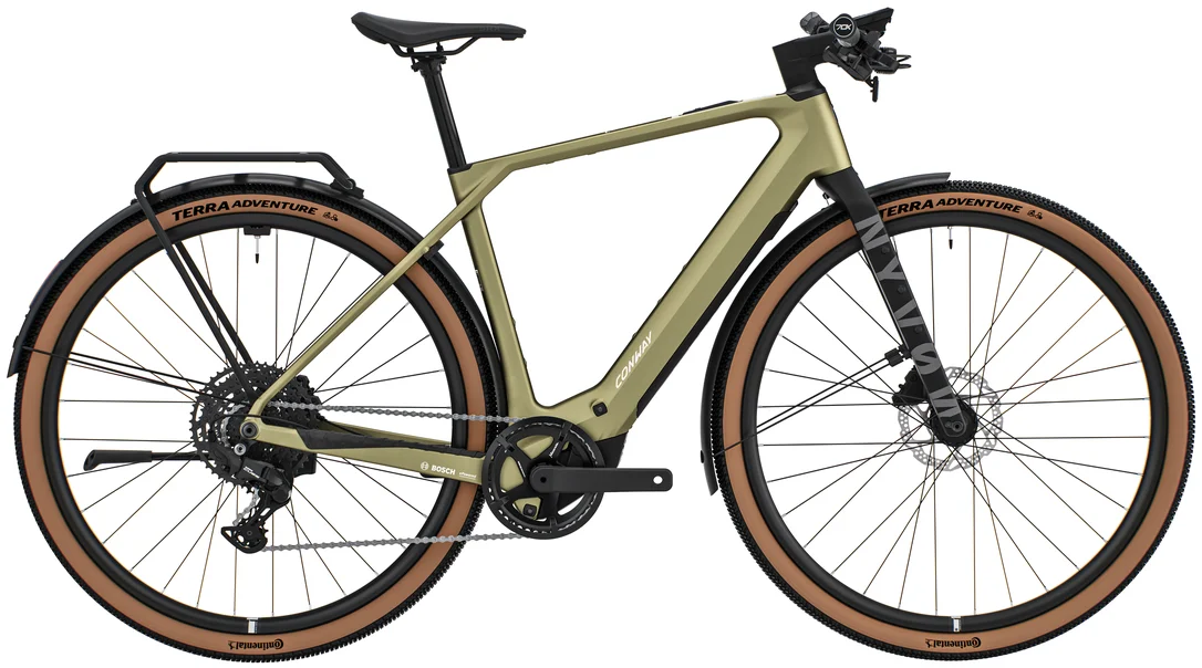 ebike2420261010153103130164