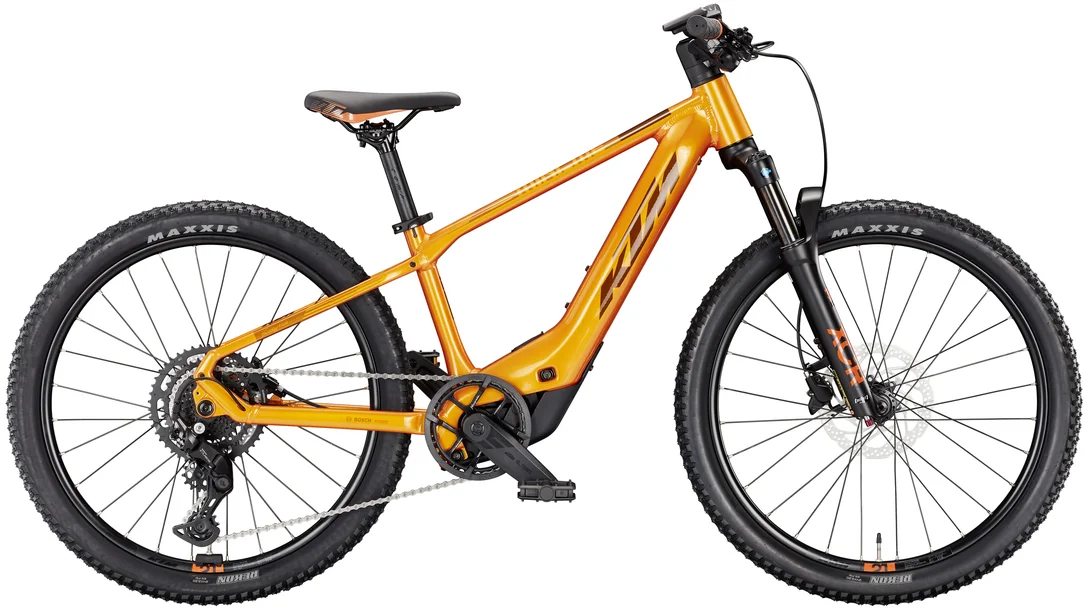 ebike2420261010153141130350