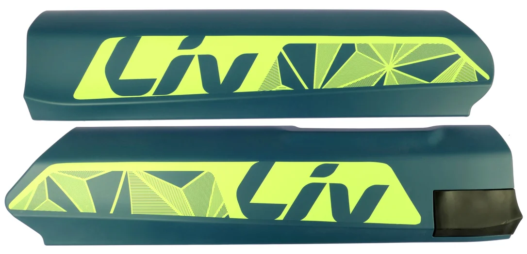 ebike2420261010154524133384