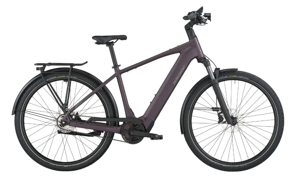ebike2420261010163450146215