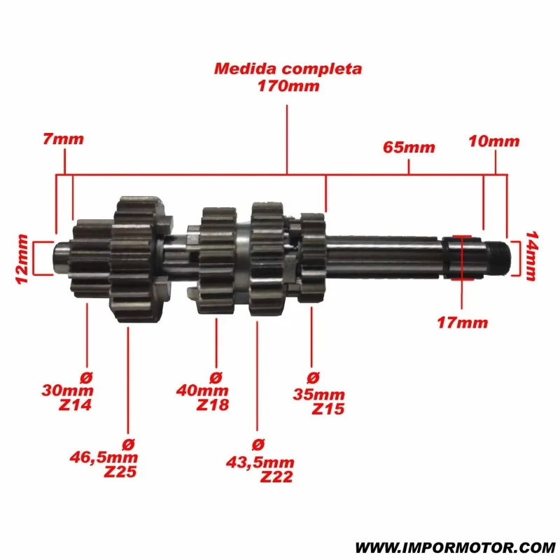impormotor20261010160846138626