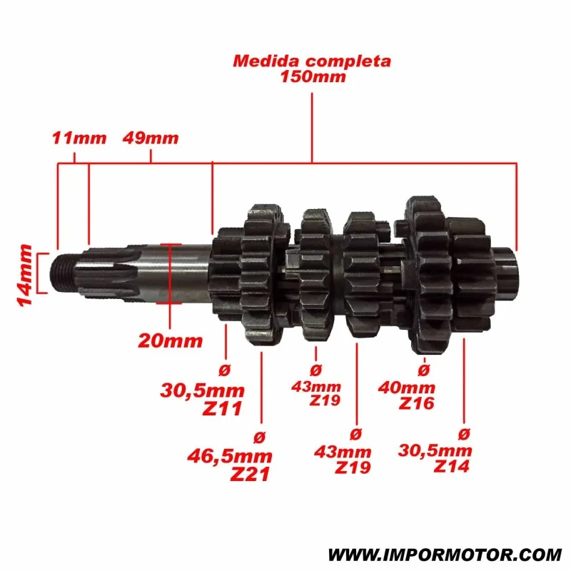impormotor20261010160850138641