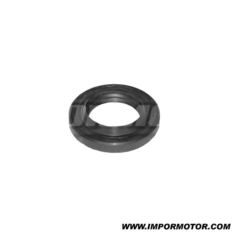 impormotor20261010163221145519