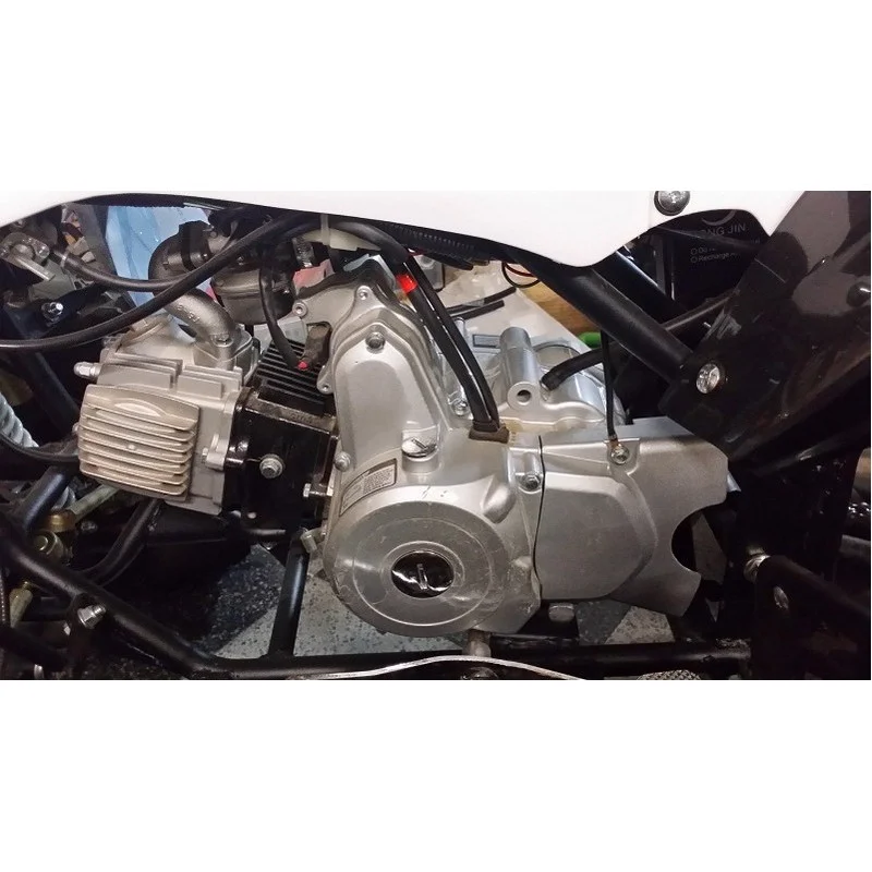 impormotor20261010171254157150