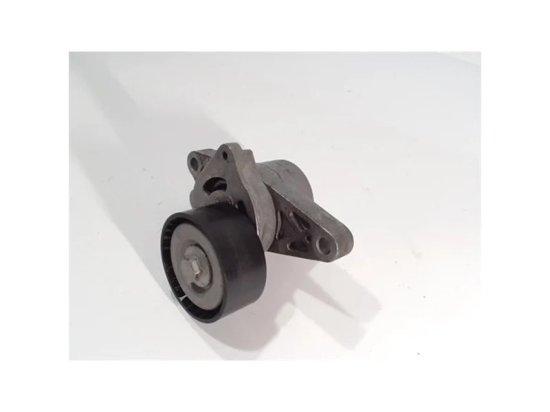 reciclauto-12026101012494889322