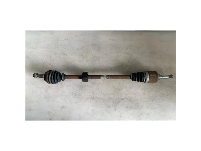 reciclauto-12026101013012092431