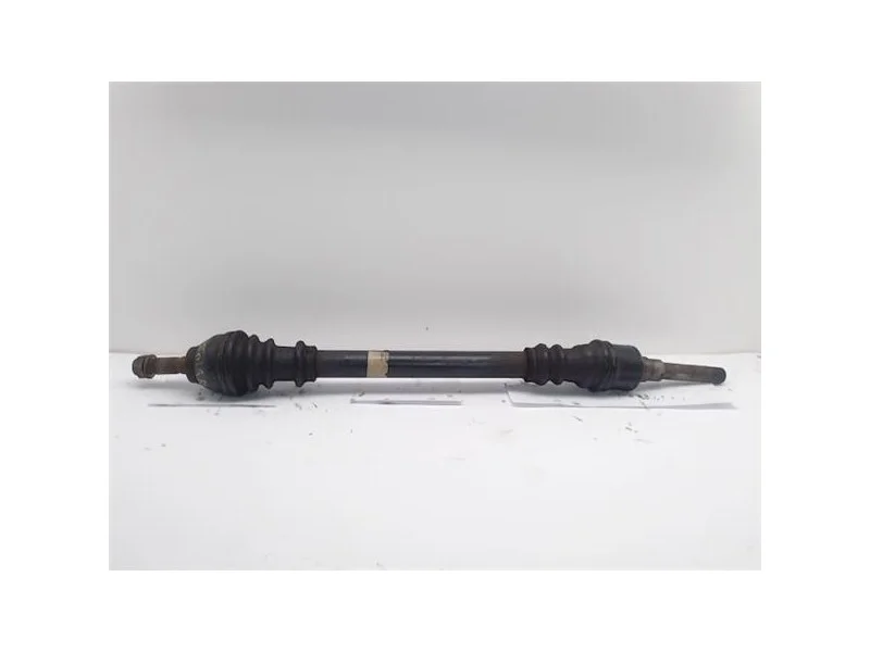 reciclauto-12026101013062693354