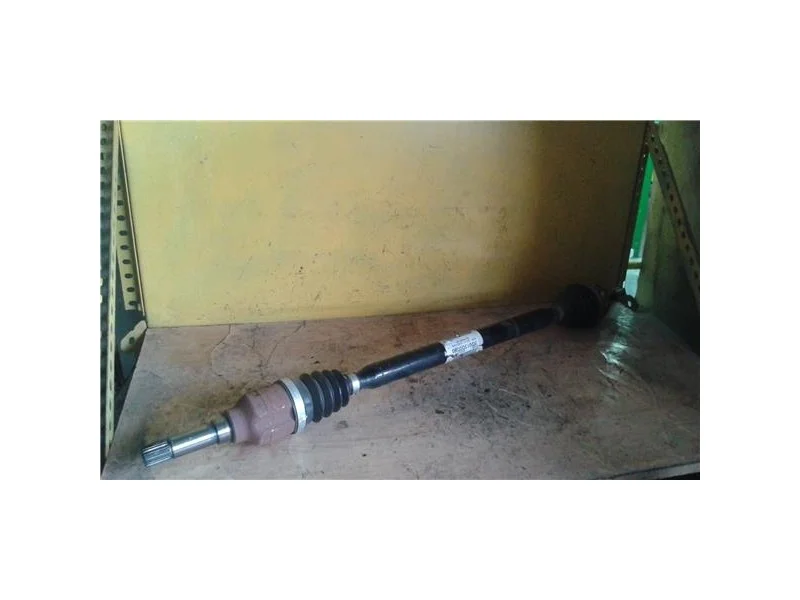 reciclauto-120261010143813115510