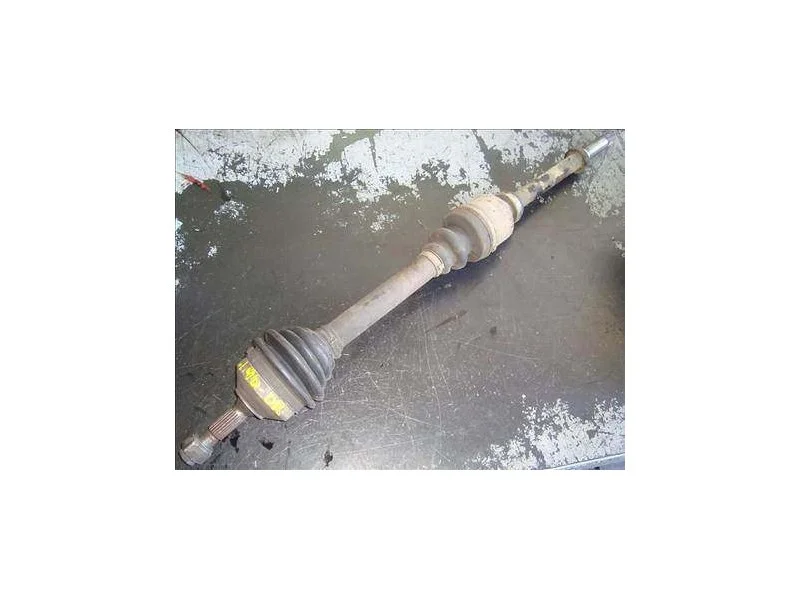 reciclauto-120261010153815131817