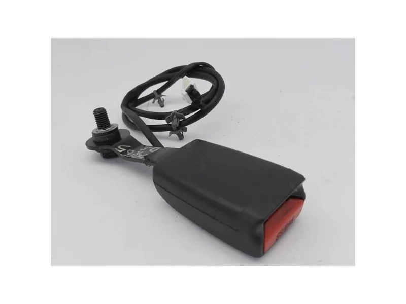 reciclauto-22026101011430072832