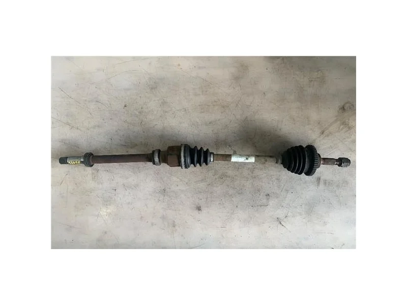 reciclauto-22026101011510974717