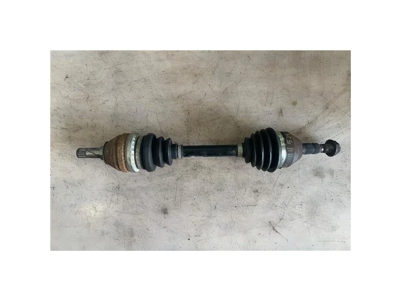 reciclauto-22026101011511174726