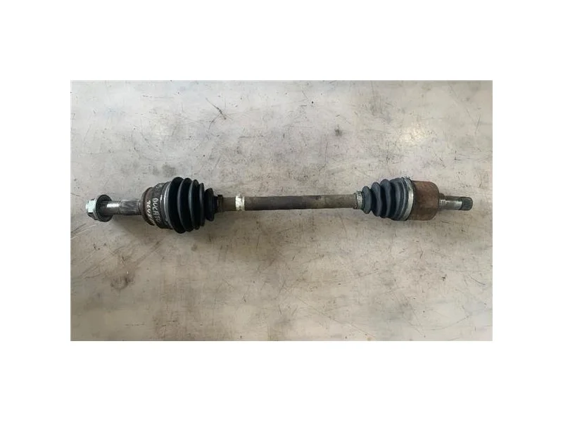 reciclauto-22026101011511274730