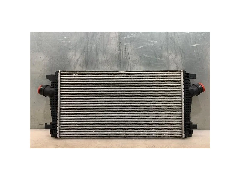 reciclauto-22026101012114879137