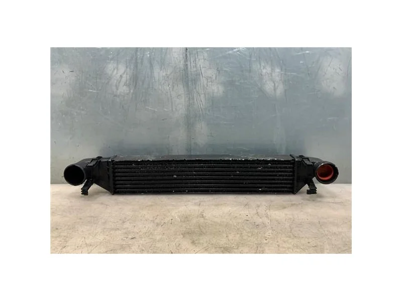 reciclauto-22026101012281283551