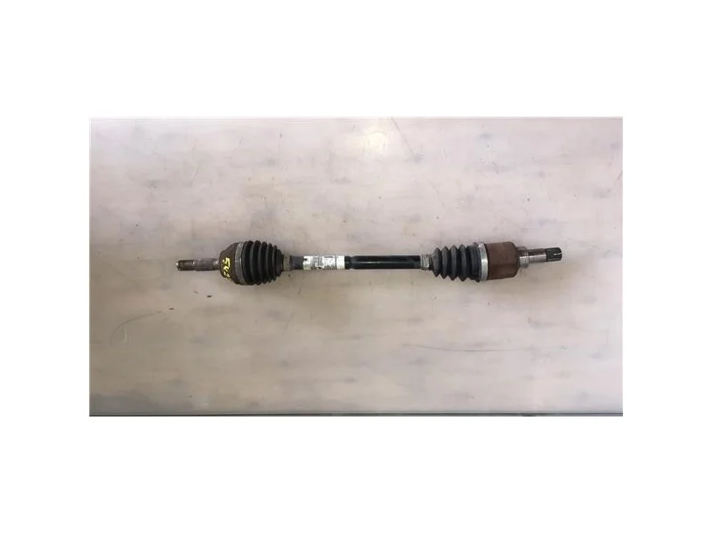 reciclauto-22026101012395186590