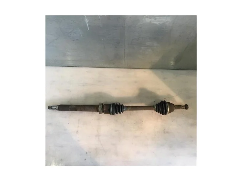 reciclauto-22026101012411386968