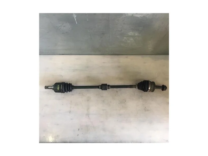 reciclauto-22026101012411786990