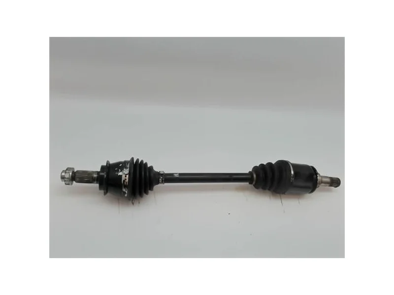reciclauto-22026101012414187101
