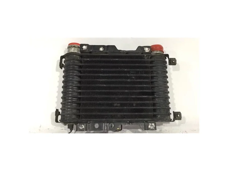 reciclauto-22026101012461888370