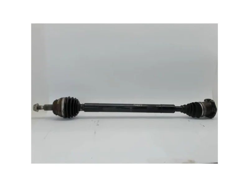 reciclauto-22026101012500689398