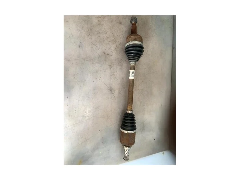 reciclauto-22026101012513889820