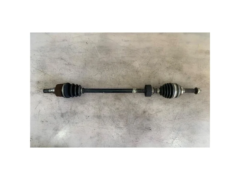 reciclauto-22026101012580191506