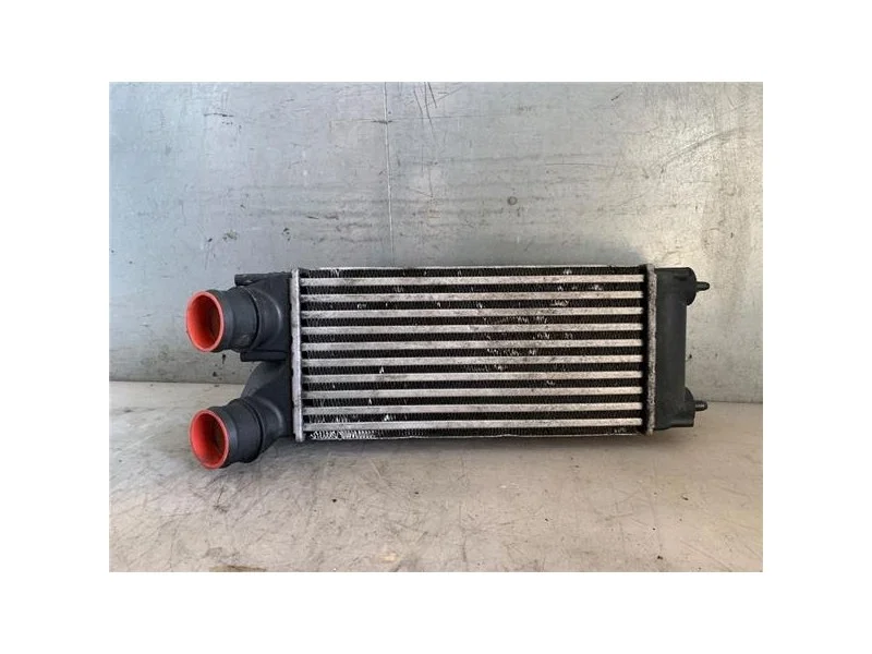 reciclauto-22026101013081793870