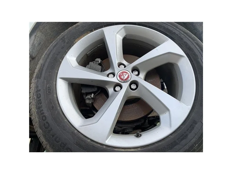 reciclauto-22026101013102294462