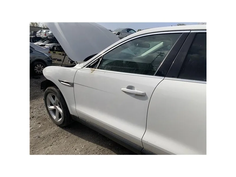 reciclauto-22026101013111894739