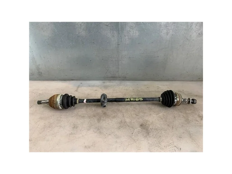 reciclauto-22026101013175396414