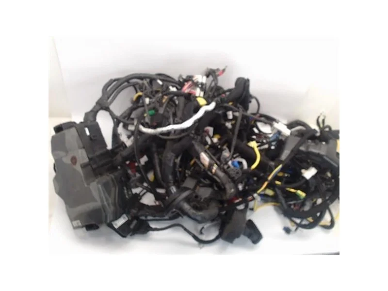reciclauto-22026101013290798531