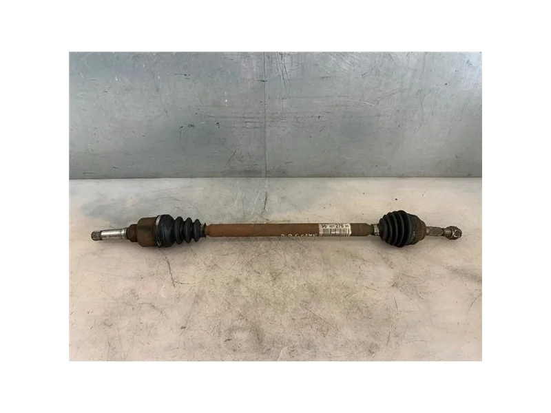 reciclauto-22026101013293198627