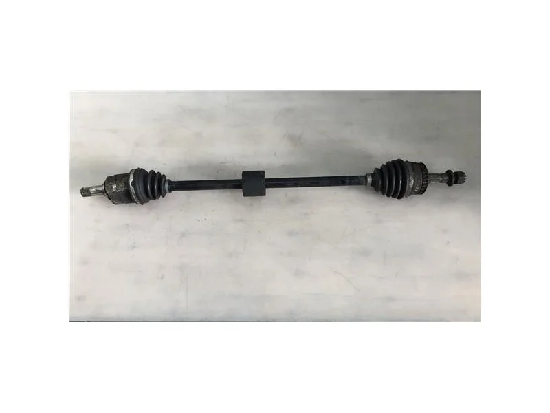 reciclauto-22026101013303598918