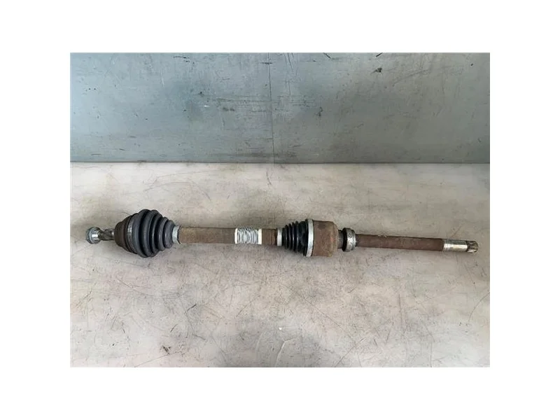 reciclauto-22026101013313299186