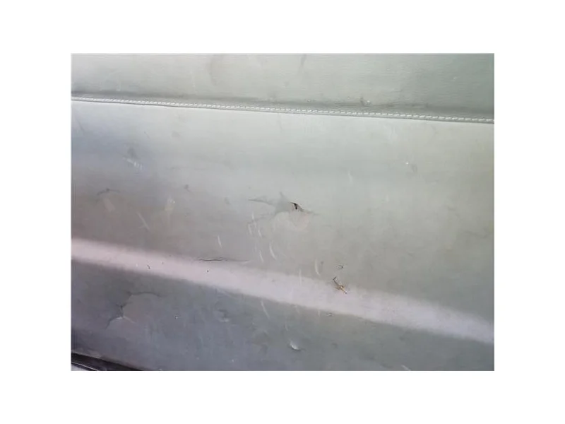 reciclauto-220261010145758120193