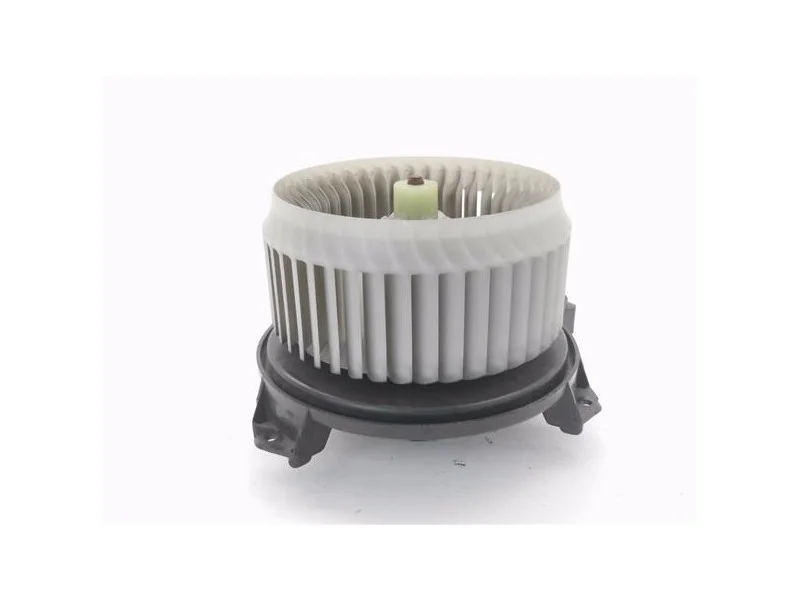 reciclauto-220261010145804120221