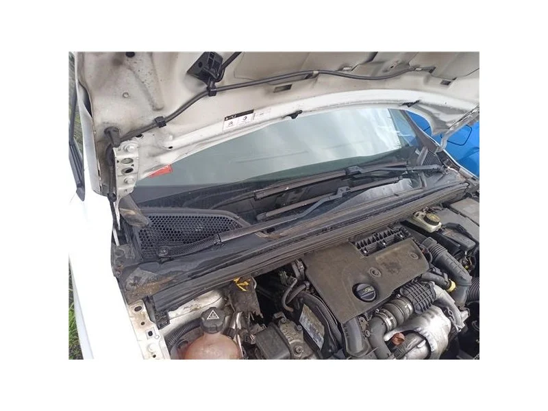 reciclauto-220261010145926120523