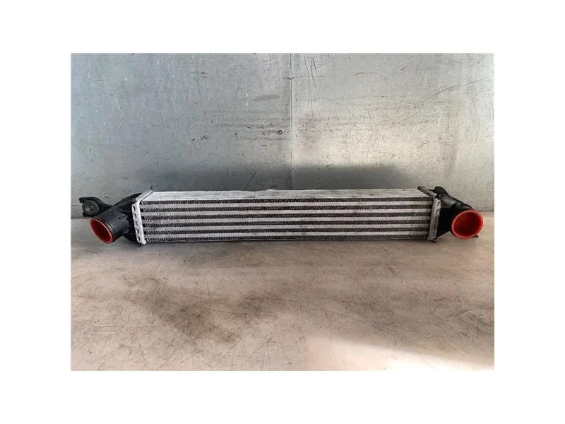 reciclauto-220261010151237124085