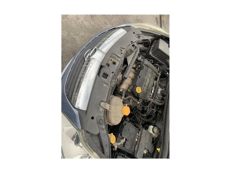 reciclauto-220261010153236130575
