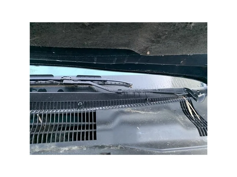 reciclauto-220261010155145134781
