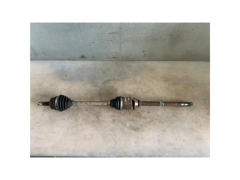 reciclauto-220261010163045145082
