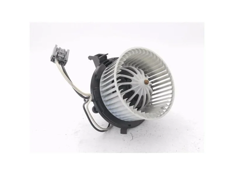 reciclauto-220261010164726150034