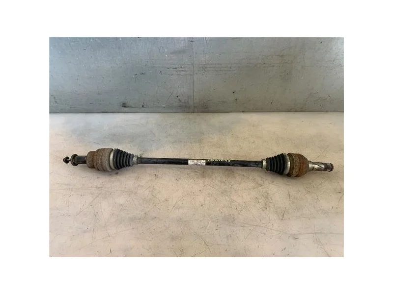 reciclauto-220261010164741150121