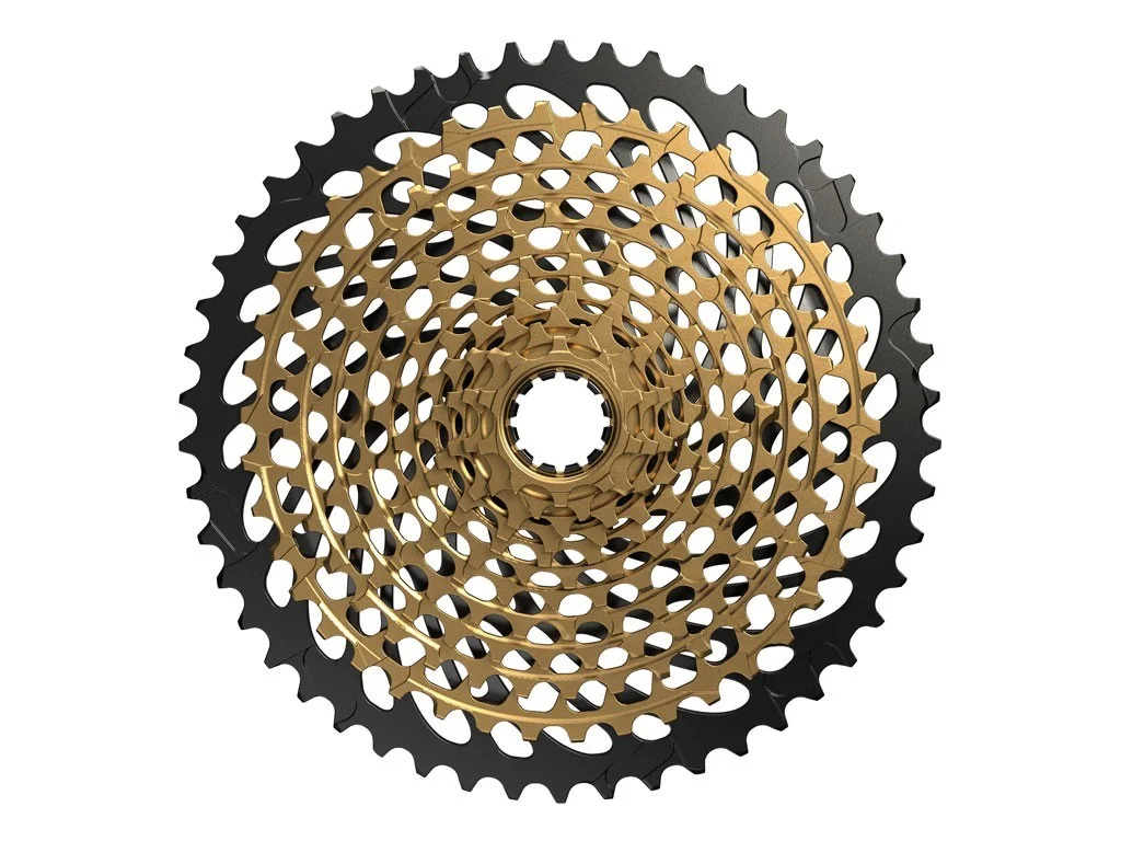 terra-bike20261010151227124020