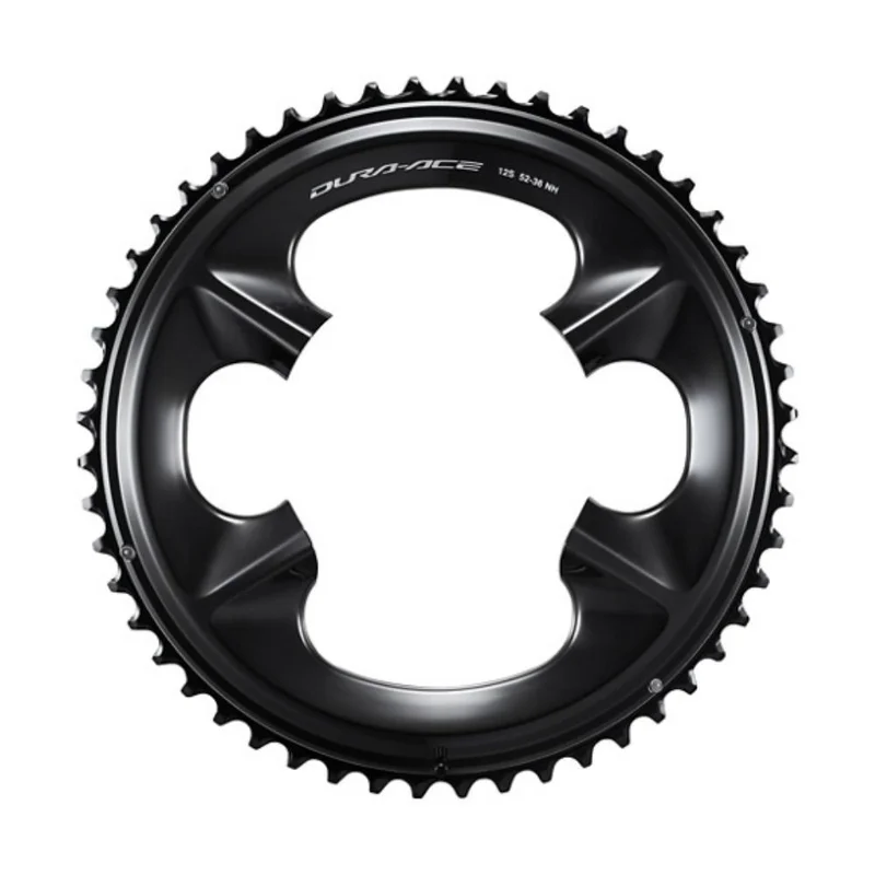 terra-bike20261010161730141081