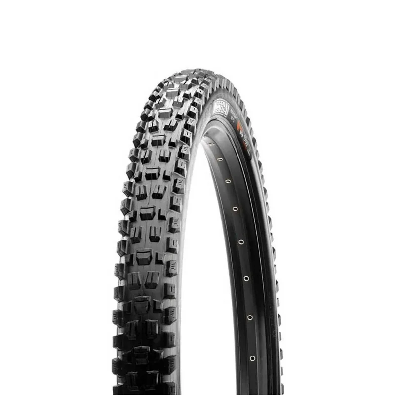 terra-bike20261010164503149165