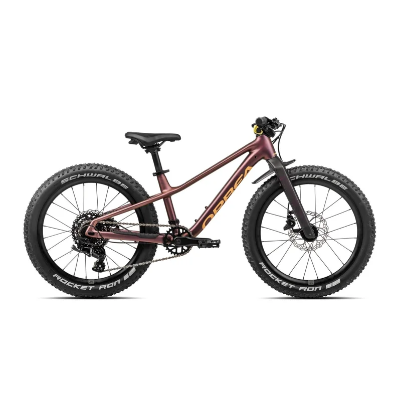 terra-bike20261010165652153558